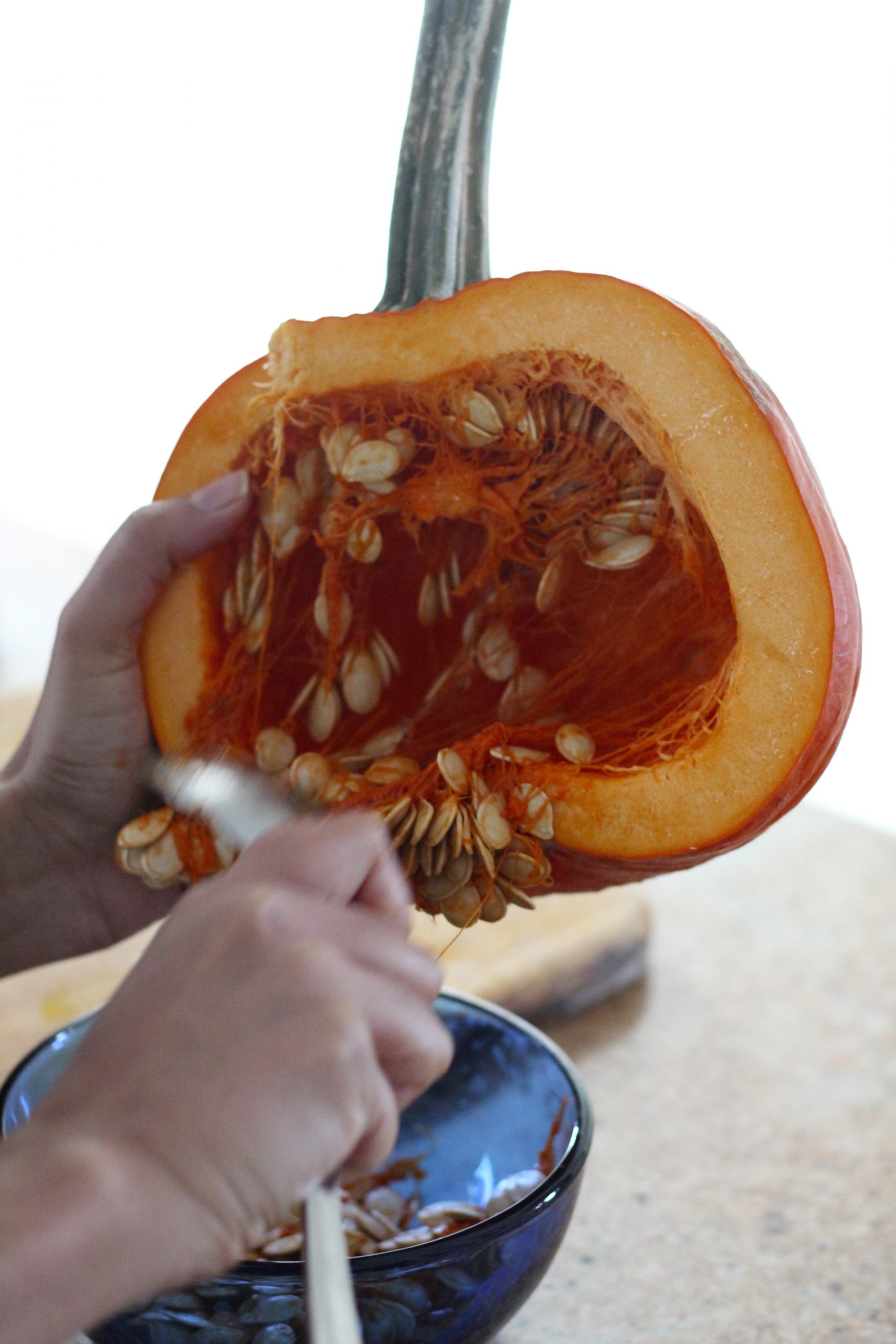 eating the whole pumpkin - seeding it 2