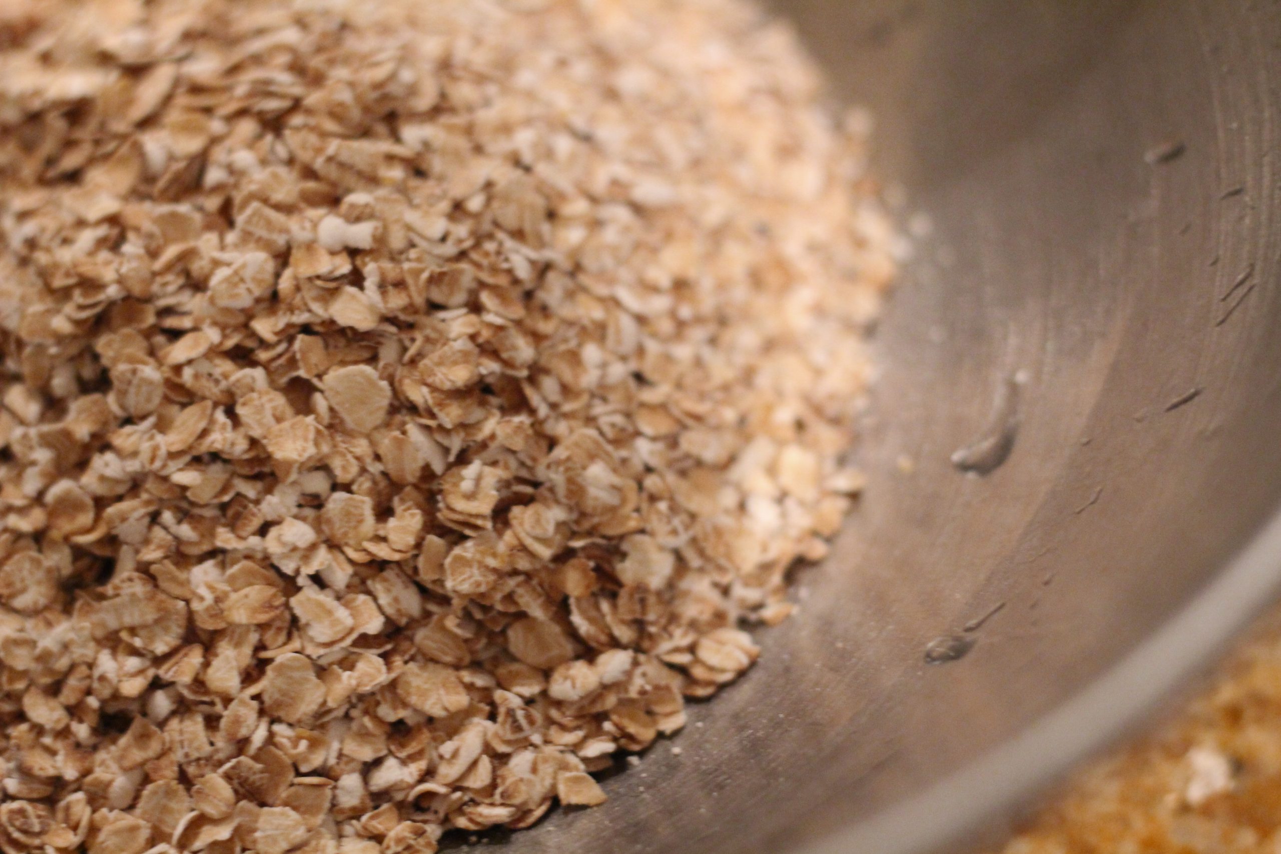 oats in bowl